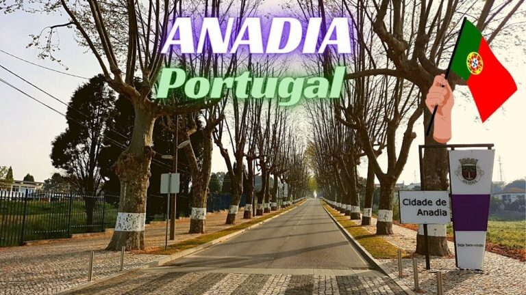 Descubra a Localização de Anadia em Portugal: Guia Completo para Explorar esta Charmosa Cidade